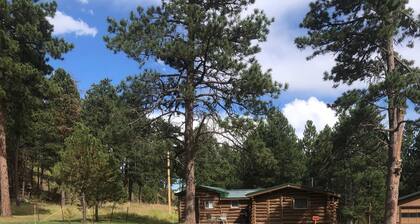 Secluded, Rustic Log Cabin located in the Heart of the Black Hills near Custer