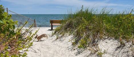 Playa en los alrededores