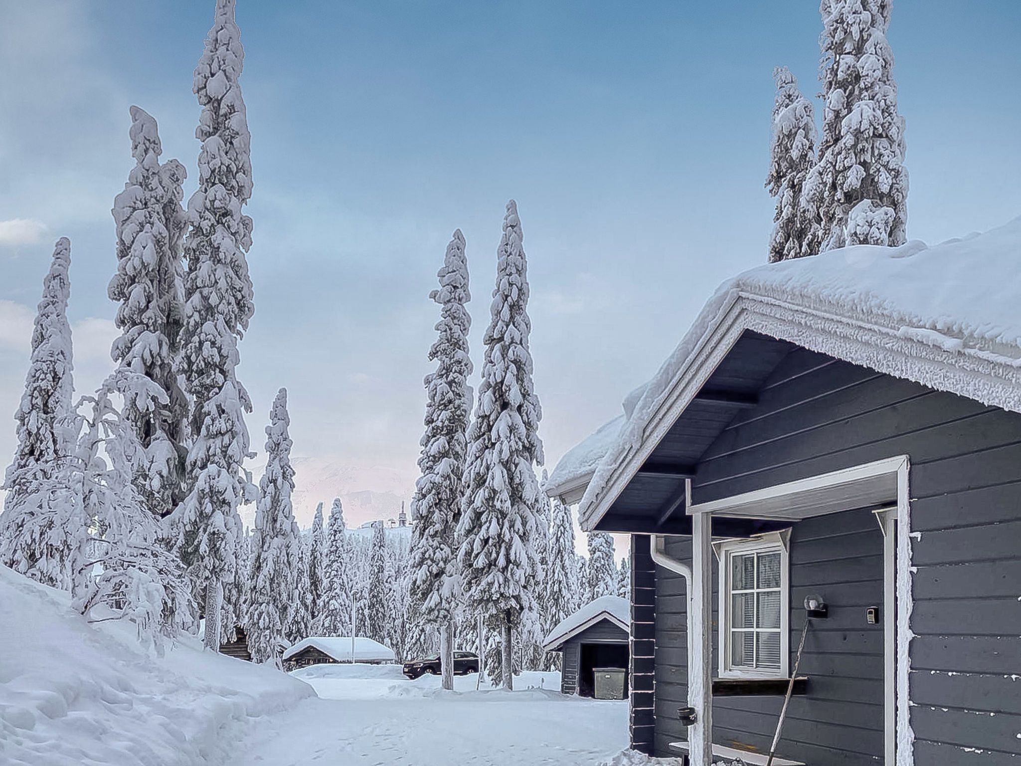 Ein mit Schnee bedecktes Blockhaus mit dunkler Fassade, umgeben von hoch aufragenden, schneebedeckten Bäumen.