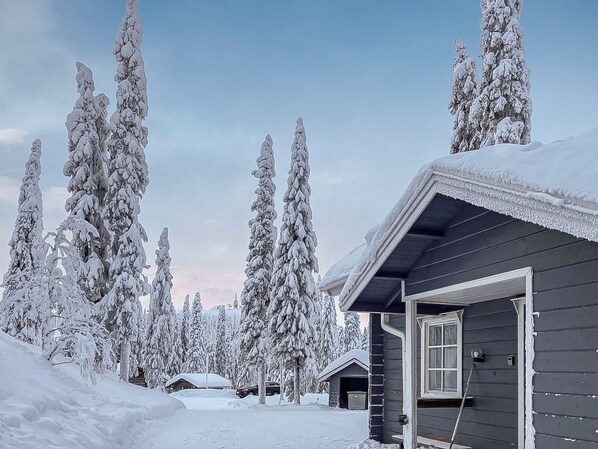 Una cabaña cubierta de nieve con fachada oscura, rodeada de altos árboles cargados de nieve.