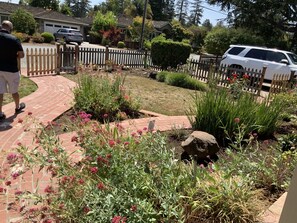 Terrain de l’hébergement 