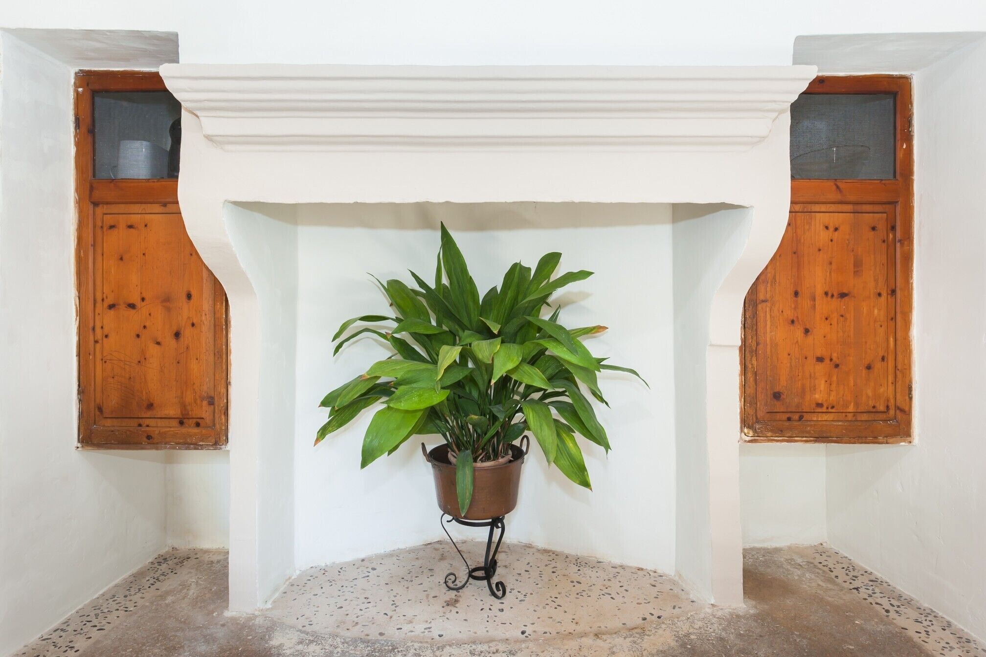 Une pièce d’angle avec un mur blanc, une porte en bois et une plante en pot placée au centre.