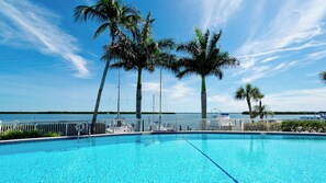 A clear blue pool with a view of the sea and palm trees. - Harbor Villa Club 206 (Longboat Key)