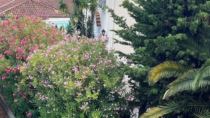 A coastal building with a tiled roof, surrounded by lush greenery and pink flowering plants. - CANNES VILLA SWIMMING POOL, SEA VIEW,15 MN PALAIS DU FESTIVAL,1 MN BEACH ON FOOT (Cannes)