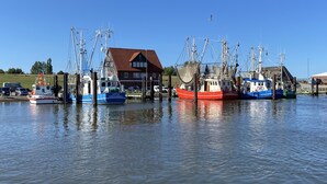 Un puerto con varios barcos pesqueros amarrados, un edificio de techos rojos y un cielo azul despejado.