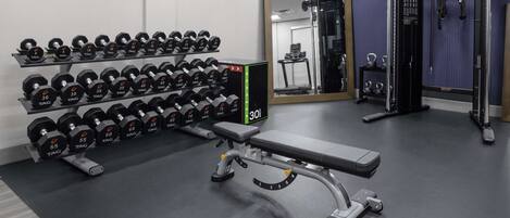 A gym with dumbbells, a bench, and a squat rack.
