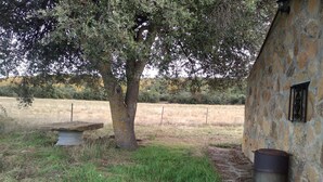 Un edificio rústico de piedra con un bote de basura metálico y un banco bajo un árbol.