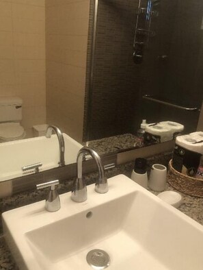 Shower, hair dryer, bidet, towels