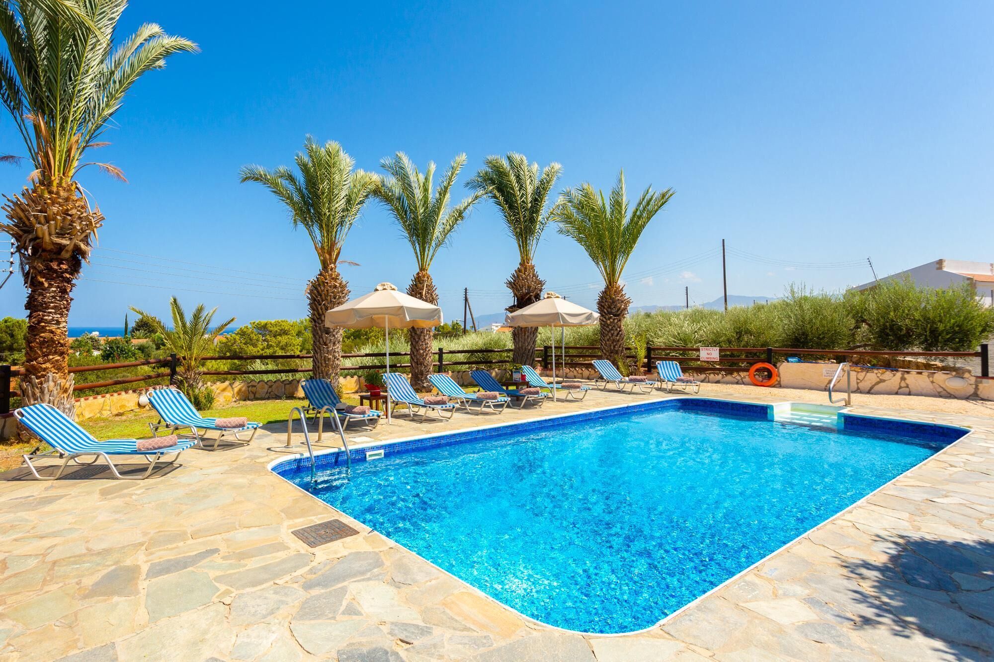 Una piscina con sillones y sombrillas, rodeada de palmeras y un cielo despejado.