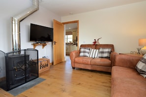 TV, fireplace, books