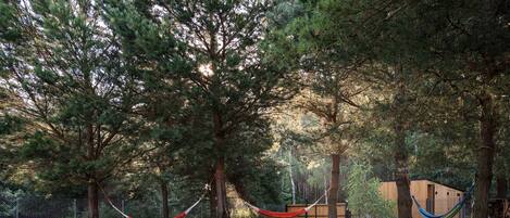 المنطقة المحيطة بالمنشأة