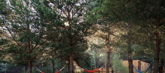 Hygge Forrest Houses 450 m from lake