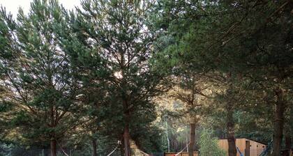 Hygge Forrest Houses 450 m from lake