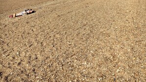 A pebbled beach with a clear sky. - Entire Stylish Garden Apartment 2 double ensuite bedrooms sleeps 4 Pet friendly  (Wisbech)