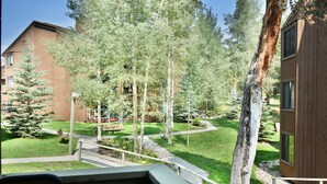 Ein Innenhof mit Holzdeck, einer Bank und einem Pfad, umgeben von Bäumen und einem Gebäude.