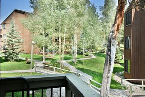 Property grounds - Pool, Hot Tub! Comfy 1st Floor Unit. Walk to River, Dining, Activities (Keystone)