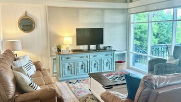 Smart TV, fireplace, DVD player, books