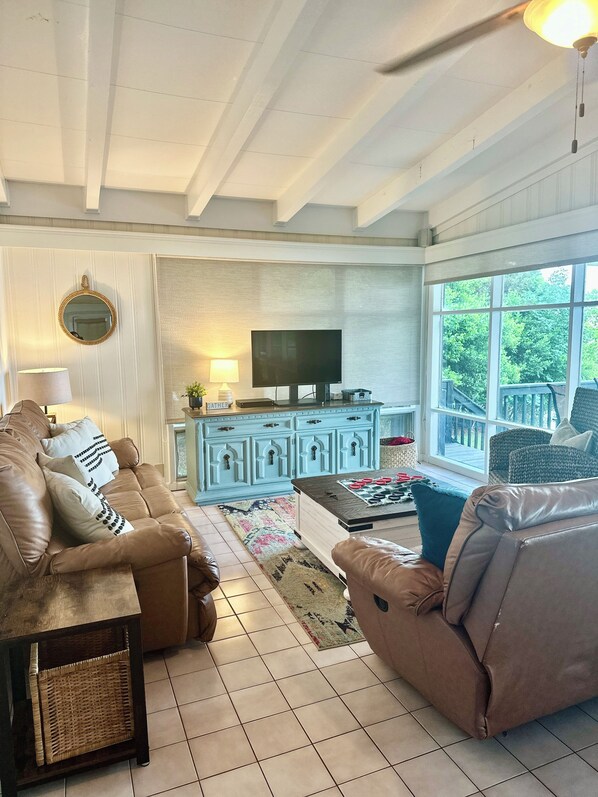 Smart TV, chimenea, reproductor de DVD y libros 