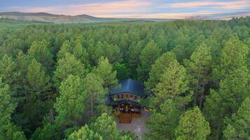 A cabin surrounded by dense forest with a clear view of the surrounding landscape.