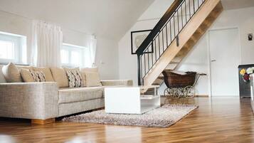 TV, books, music library, stereo