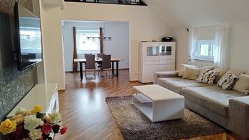 TV, books, music library, stereo