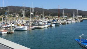 Ein Yachthafen mit mehreren Schiffen, die an der Uferpromenade festgemacht sind.