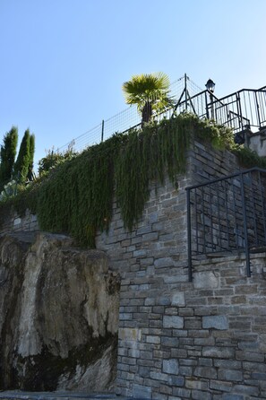 Staircase leads up to a platform beneath a palm tree.