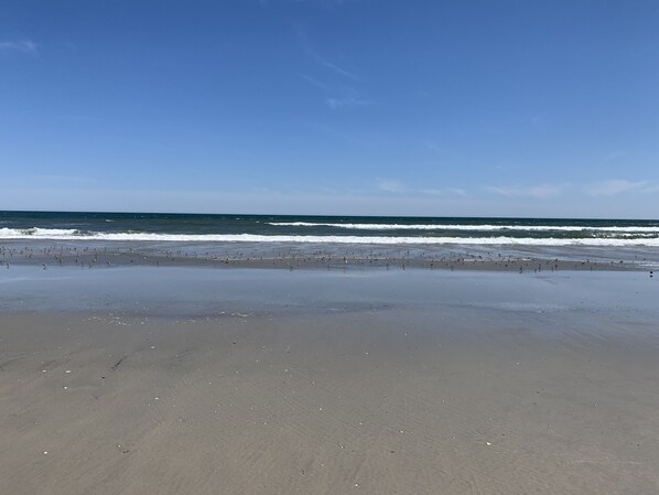 Beach nearby - 405 Retreat at Hall Harbor in STONE HARBOR on 96th St- Close to The Reeds  (Stone Harbor)