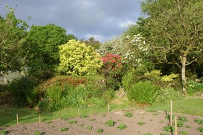 Een tuin met verschillende planten en bomen, een omheind groentebed, en een bewolkte lucht.