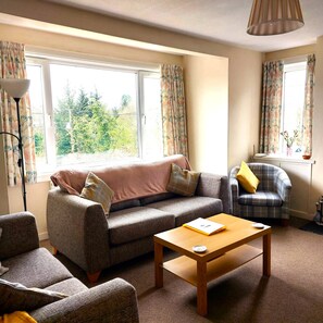 TV, fireplace, DVD player