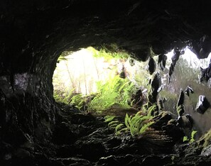 A cave entrance with a view of a forested area outside. - Rowantree Cottage -  a cottage that sleeps 7 guests  in 3 bedrooms (Castle Douglas)