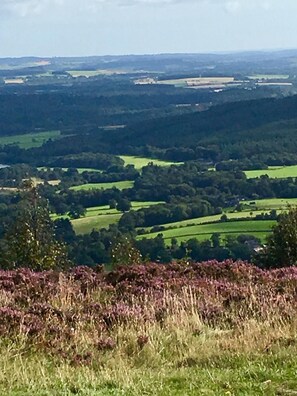 A panoramic view of a rural landscape with rolling hills, fields, and scattered trees.