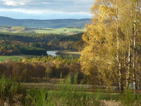 A landscape view with a river, trees, and distant hills.