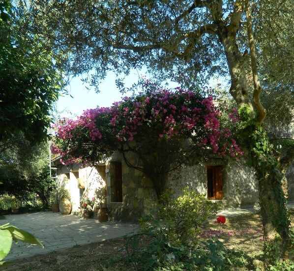 A stone building with a covered patio area, surrounded by lush greenery and flowering plants.