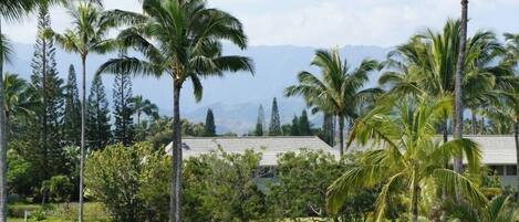 Àrea exterior de l'allotjament