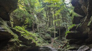 Miscellaneous - Secluded, Quiet Tucked Away Cabin in Hocking Hills, Hot Tub, Relaxation (Logan)