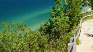 Un muelle de madera que conduce a una playa con aguas turquesas cristalinas y follaje verde.