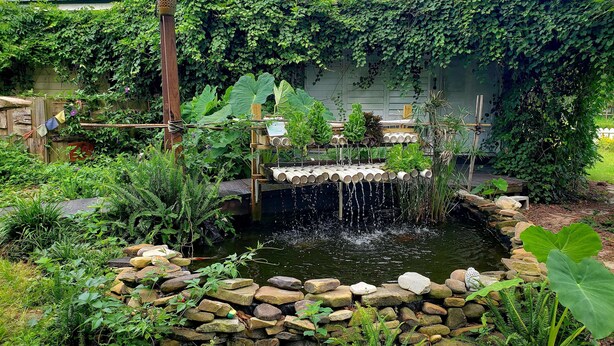 A garden with a small pond, surrounded by various plants and a wooden structure. - Kokomo Farms - Cozy Cottage on the Farm (Live Oak)