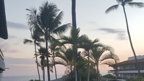 Un resort tropical con palmeras, vista al mar y un camino que lleva a la playa.
