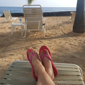 Escena de playa con una hilera de sillas de reposo blancas y una palmera.
