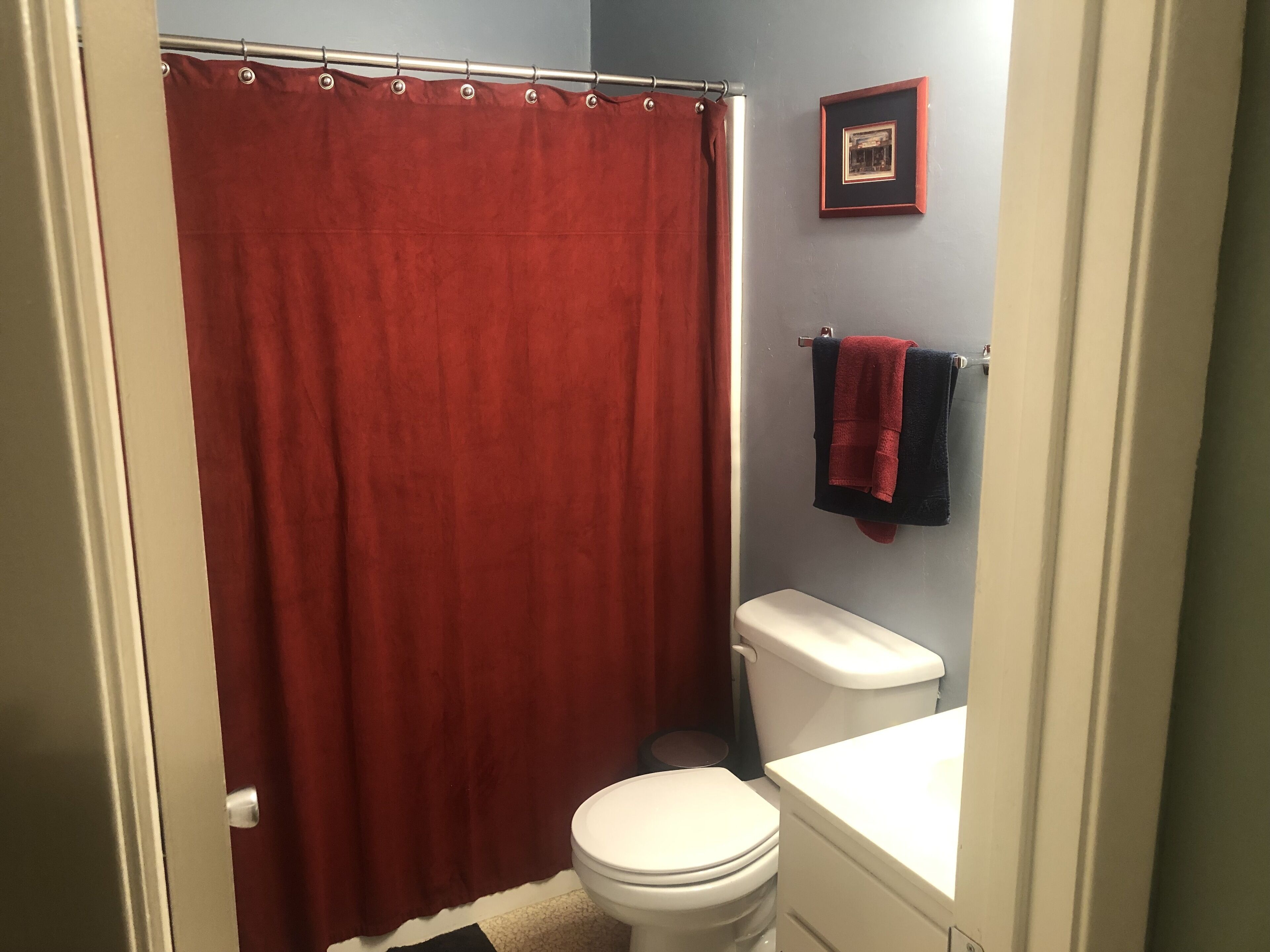 A bathroom with a red shower curtain, a white toilet, and a framed picture on the wall.