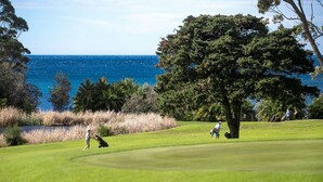 Ein Golfplatz mit Meerblick, ein großer Baum und eine Person mäht das Gras.