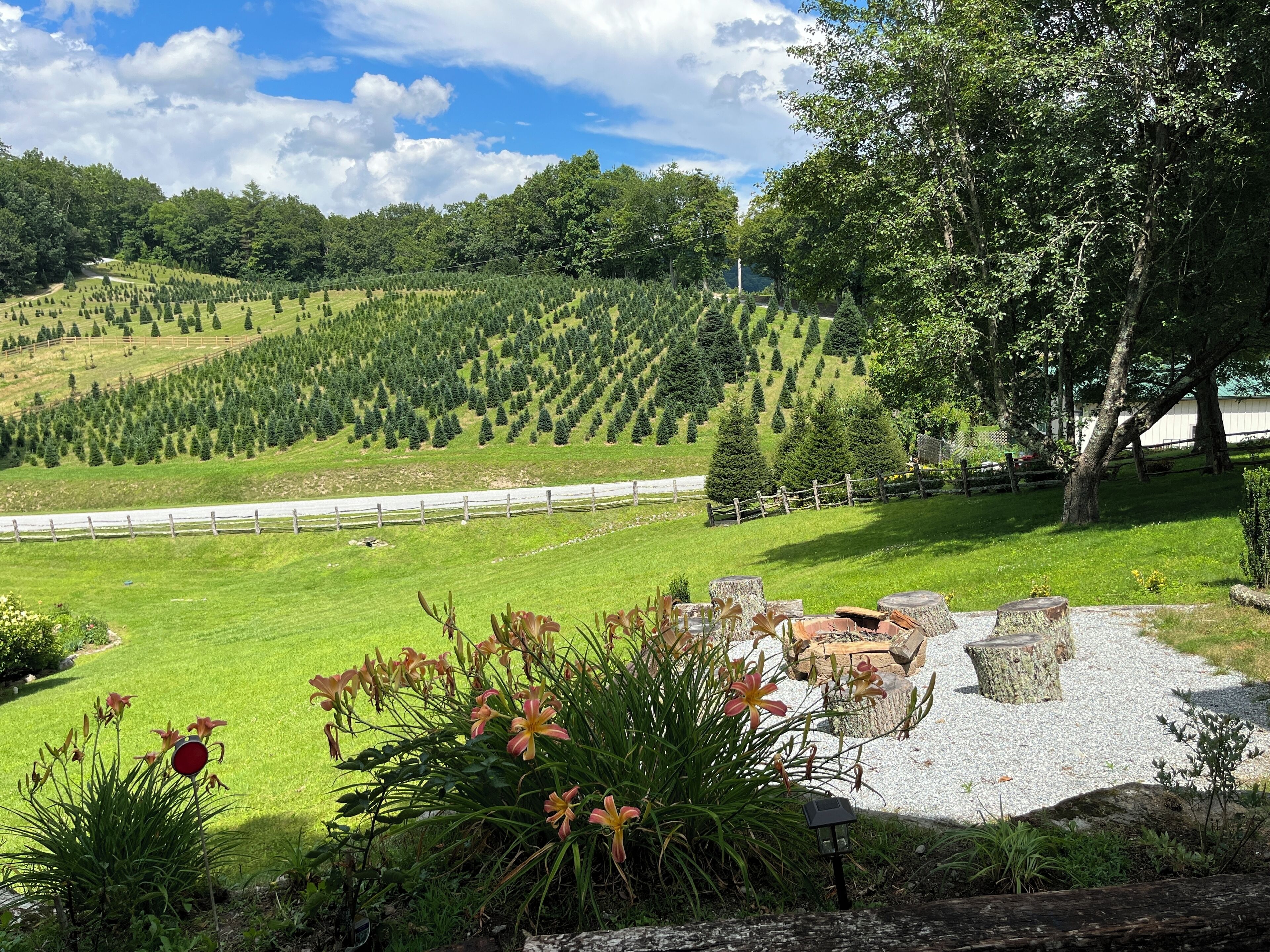 Un espace paysager agrémenté de diverses plantes et arbres, un sentier de gravier et une zone délimitée par une clôture où les arbres sont disposés avec soin.