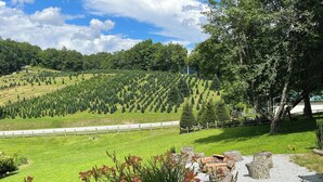 A landscaped area with a variety of plants and trees, a gravel path, and a fenced area with neatly arranged trees. - 2 Views!  Front view of Lake Glenville & back view of Christmas Tree farm! (Glenville)