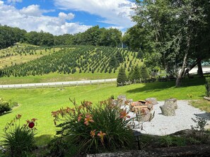 المنطقة المحيطة بالمنشأة