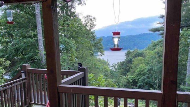 A wooden deck with a view of a lake and forested hills. - 2 Views!  Front view of Lake Glenville & back view of Christmas Tree farm! (Glenville)