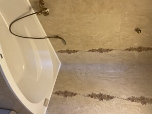 Combined shower/bathtub, bidet