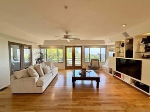 Smart TV, fireplace, video games, DVD player