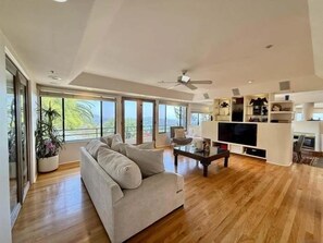 Smart TV, fireplace, video games, DVD player