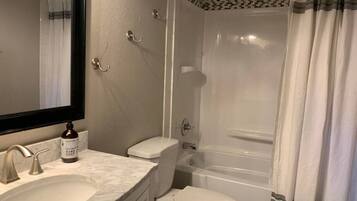 Combined shower/tub, hair dryer